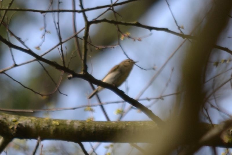 sono tutti lu� piccoli?